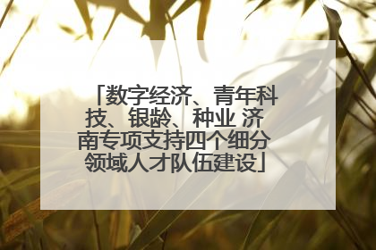 数字经济、青年科技、银龄、种业 济南专项支持四个细分领域人才队伍建设