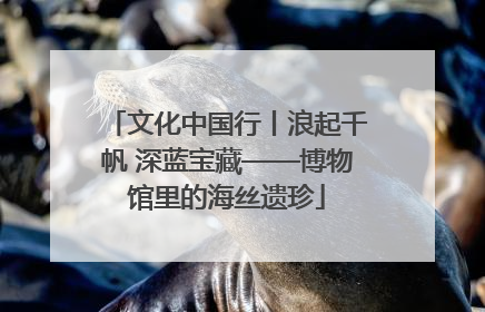 文化中国行丨浪起千帆 深蓝宝藏——博物馆里的海丝遗珍