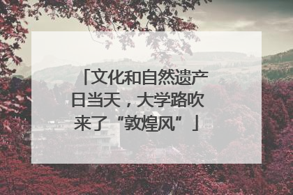 文化和自然遗产日当天，大学路吹来了“敦煌风”