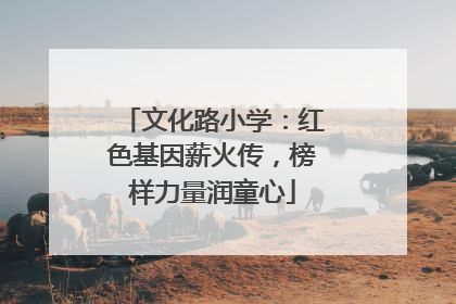 文化路小学：红色基因薪火传，榜样力量润童心