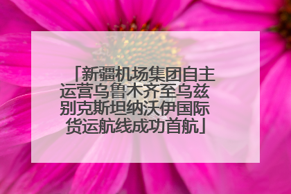 新疆机场集团自主运营乌鲁木齐至乌兹别克斯坦纳沃伊国际货运航线成功首航
