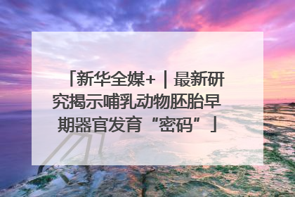 新华全媒+｜最新研究揭示哺乳动物胚胎早期器官发育“密码”