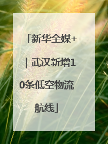 新华全媒+｜武汉新增10条低空物流航线