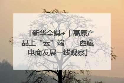 新华全媒+｜高原产品上“云”端——西藏电商发展一线观察