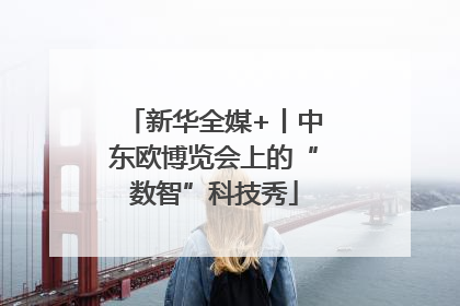 新华全媒+丨中东欧博览会上的“数智”科技秀