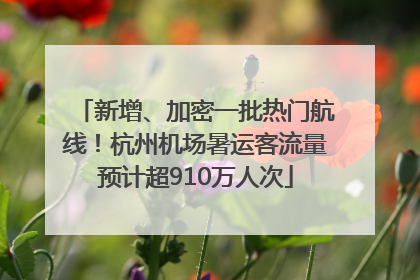 新增、加密一批热门航线！杭州机场暑运客流量预计超910万人次
