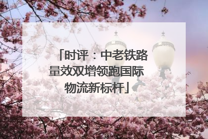 时评：中老铁路量效双增领跑国际物流新标杆