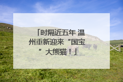 时隔近五年 温州重新迎来“国宝”大熊猫！