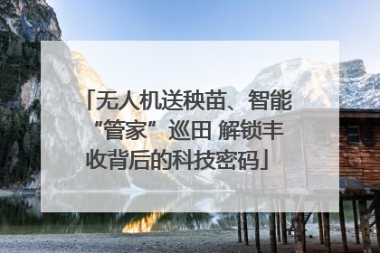 无人机送秧苗、智能“管家”巡田 解锁丰收背后的科技密码