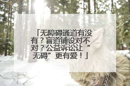 无障碍通道有没有？盲道铺设对不对？公益诉讼让“无碍”更有爱！