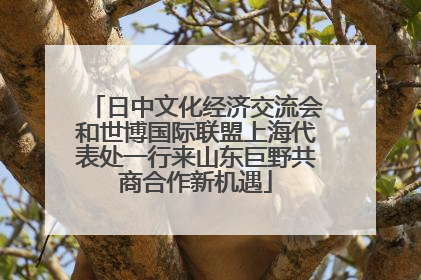 日中文化经济交流会和世博国际联盟上海代表处一行来山东巨野共商合作新机遇