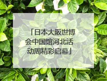 日本大阪世博会中国馆河北活动周精彩启幕
