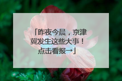 昨夜今晨，京津冀发生这些大事！点击看报→