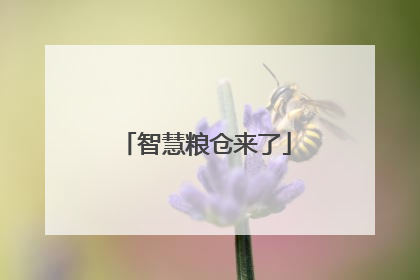 智慧粮仓来了