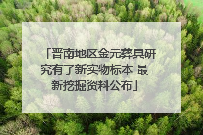 晋南地区金元葬具研究有了新实物标本 最新挖掘资料公布
