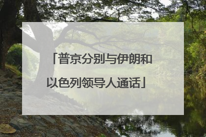 普京分别与伊朗和以色列领导人通话