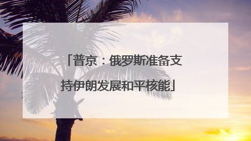 普京：俄罗斯准备支持伊朗发展和平核能