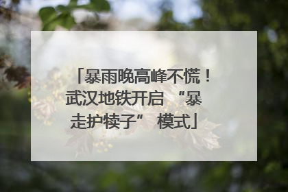 暴雨晚高峰不慌！武汉地铁开启 “暴走护犊子” 模式