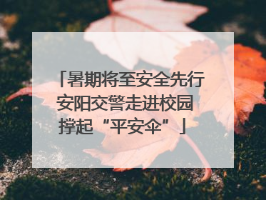暑期将至安全先行 安阳交警走进校园撑起“平安伞”