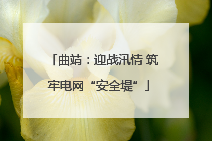 曲靖：迎战汛情 筑牢电网“安全堤”