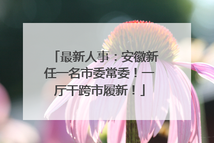 最新人事：安徽新任一名市委常委！一厅干跨市履新！