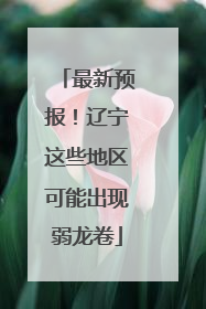 最新预报！辽宁这些地区可能出现弱龙卷