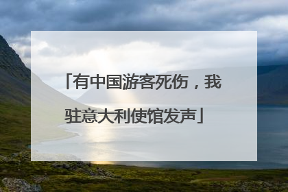 有中国游客死伤，我驻意大利使馆发声