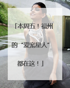 本周五！福州的“爱宠星人”都在这！