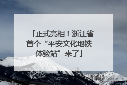 正式亮相！浙江省首个“平安文化地铁体验站”来了