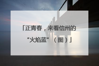 正青春，来看信州的“火焰蓝”（图）