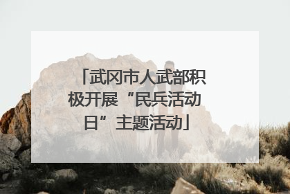 武冈市人武部积极开展“民兵活动日”主题活动