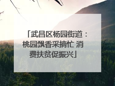 武昌区杨园街道：桃园飘香采摘忙 消费扶贫促振兴