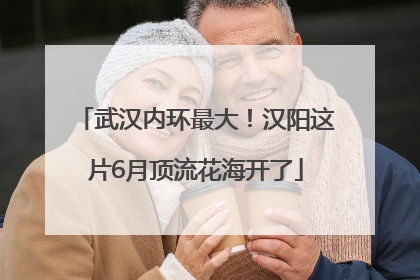 武汉内环最大！汉阳这片6月顶流花海开了
