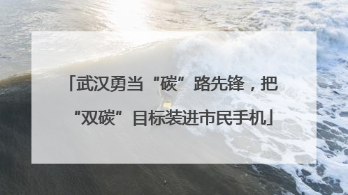 武汉勇当“碳”路先锋，把“双碳”目标装进市民手机