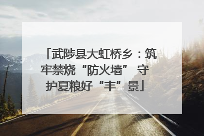 武陟县大虹桥乡：筑牢禁烧“防火墙” 守护夏粮好“丰”景