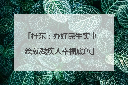 桂东：办好民生实事 绘就残疾人幸福底色
