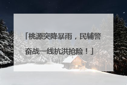 桃源突降暴雨，民辅警奋战一线抗洪抢险！