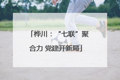 桦川：“七联”聚合力 党建开新局