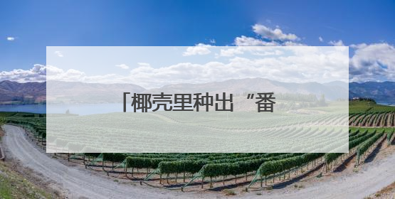 椰壳里种出“番茄森林”！当番茄“渴了”“饿了”还能精准投喂→