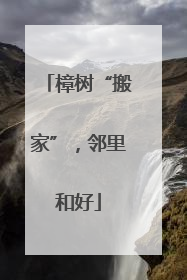 樟树“搬家”，邻里和好