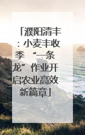 濮阳清丰：小麦丰收季 “一条龙”作业开启农业高效新篇章