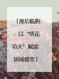 潍坊临朐：以“绣花功夫”赋能镇域蝶变