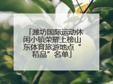 潍坊国际运动休闲小镇荣耀上榜山东体育旅游地点“精品”名单