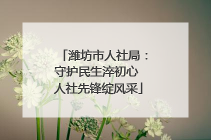 潍坊市人社局：守护民生淬初心 人社先锋绽风采