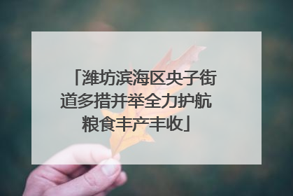 潍坊滨海区央子街道多措并举全力护航粮食丰产丰收
