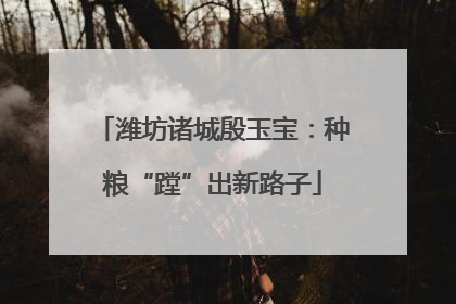 潍坊诸城殷玉宝：种粮“蹚”出新路子