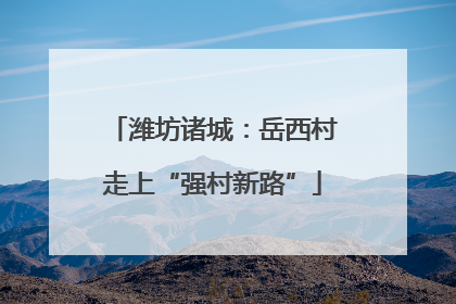 潍坊诸城：岳西村走上“强村新路”