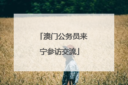 澳门公务员来宁参访交流