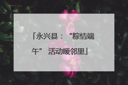 永兴县：“粽情端午” 活动暖邻里