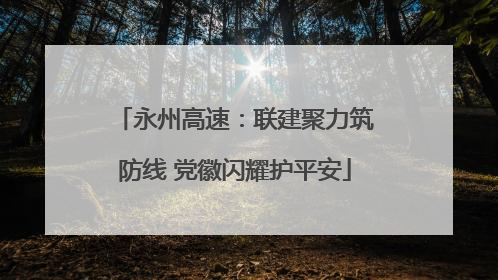 永州高速：联建聚力筑防线 党徽闪耀护平安